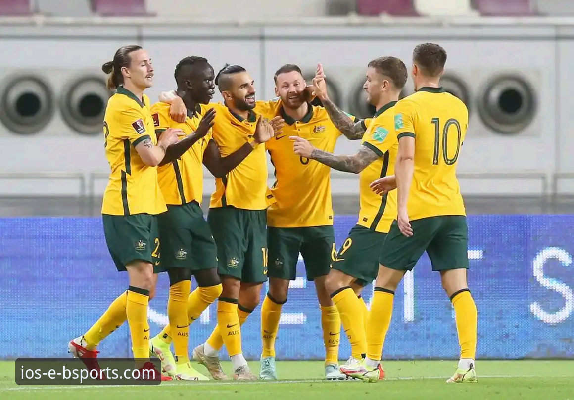 资深用户分享：如何在b体育APP客户端攻略中深度复盘意大利出局之战